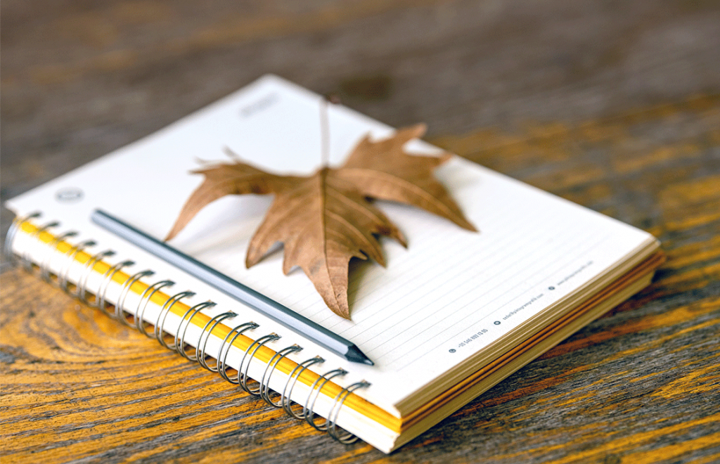 maple leaf and pen resting on top of notebook